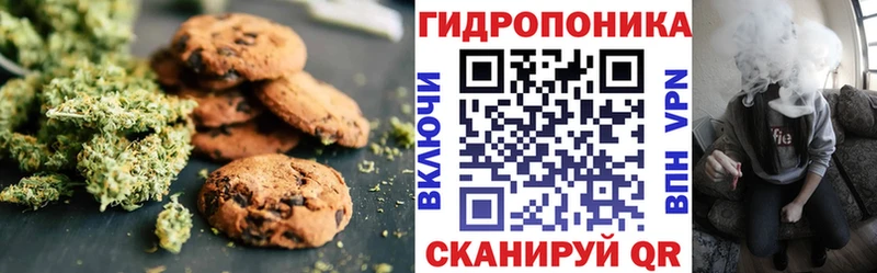 Купить закладки  Сургут  Печенье с ТГК марихуана 