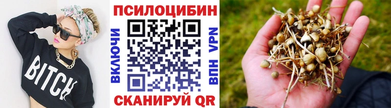 Псилоцибиновые грибы прущие грибы  Купить где  Сургут 